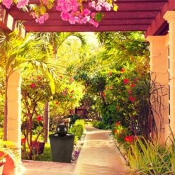 Königsbrunn Springbrunnen Solar 200 L/h LED Akku Basaltoptik -Deutschland Klarstein Verkaufs-Shop 10029040 yy 0004 ambient Blumfeldt Koenigsbrunn Solar Springbrunnen reedit