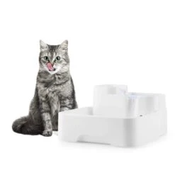 Lake Lassie Haustiertränke Tierbrunnen 4L Pumpe Aktivkohlefilter -Deutschland Klarstein Verkaufs-Shop 10031380 yy 0003 ambient oneConcept Lake Lassie Haustiertraenke