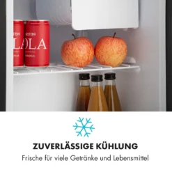 Snoopy Eco Mini-Kühlschrank Mit Gefrierfach 41 Liter 39dB -Deutschland Klarstein Verkaufs-Shop 10032856 de 0005 logo