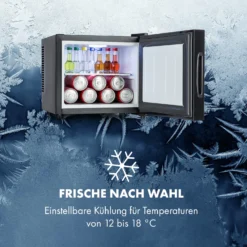 Frosty Mini-Kühlschrank EEC A Spiegelglastür 10 Liter Schwarz -Deutschland Klarstein Verkaufs-Shop 10033836 de 0008 logo