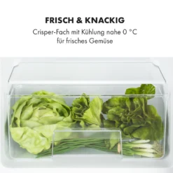 Big Daddy Cool Kühl-Gefrierkombination 61/25 Liter 2 Ebenen Edelstahl -Deutschland Klarstein Verkaufs-Shop 10034005 de 0005 logo