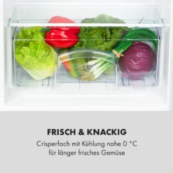 Cool Cousin Kühl-Gefrier-Kombination 70/11 Liter 40 DB 5 Cool Cousin Kühl-Gefrier-Kombination 70/11 Liter 40 DB -Deutschland Klarstein Verkaufs-Shop 10034547 de 0006 logo