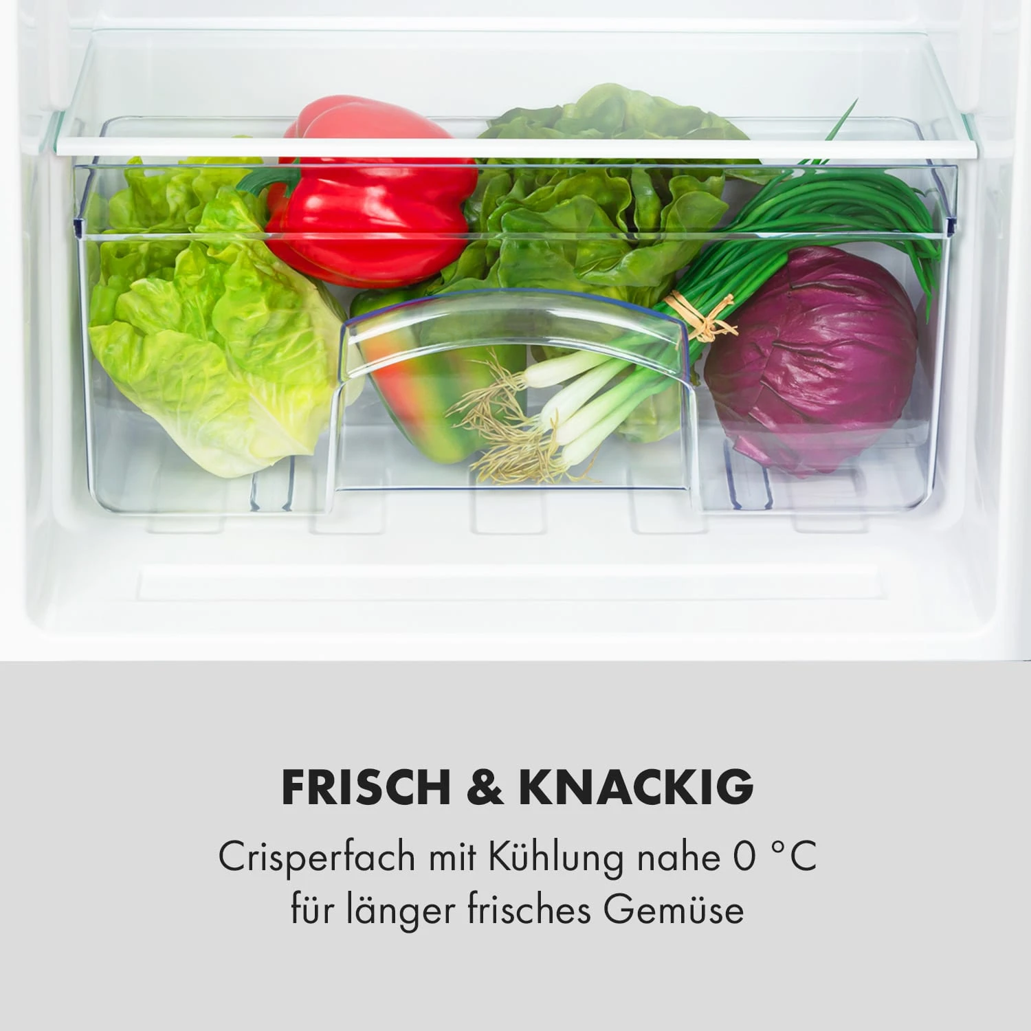 Cool Cousin Kühl-Gefrier-Kombination 70/11 Liter 40 dB Cool Cousin Kühl-Gefrier-Kombination 70/11 Liter 40 DB -Deutschland Klarstein Verkaufs-Shop 10034547 de 0006 logo