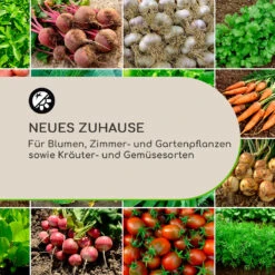 Winegrow Pflanzgefäß 52,5 X 31,5 Cm (ØxH) Leicht Fibreclay Grau 2 Winegrow Pflanzgefäß 52,5 X 31,5 Cm (ØxH) Leicht Fibreclay Grau -Deutschland Klarstein Verkaufs-Shop 10034811 de 0003 logo