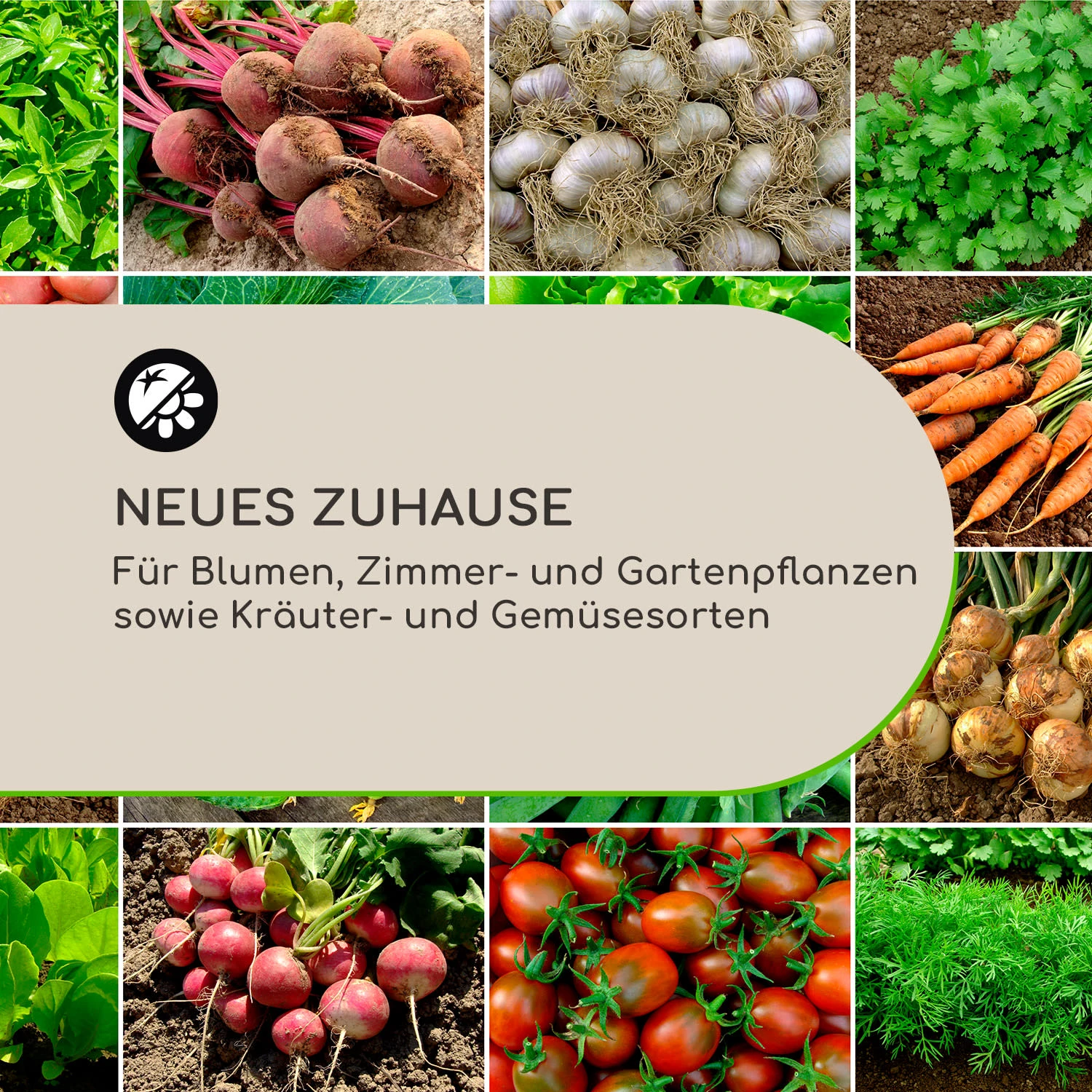 Winegrow Pflanzgefäß 52,5 x 31,5 cm (ØxH) leicht Fibreclay grau Winegrow Pflanzgefäß 52,5 X 31,5 Cm (ØxH) Leicht Fibreclay Grau -Deutschland Klarstein Verkaufs-Shop 10034811 de 0003 logo