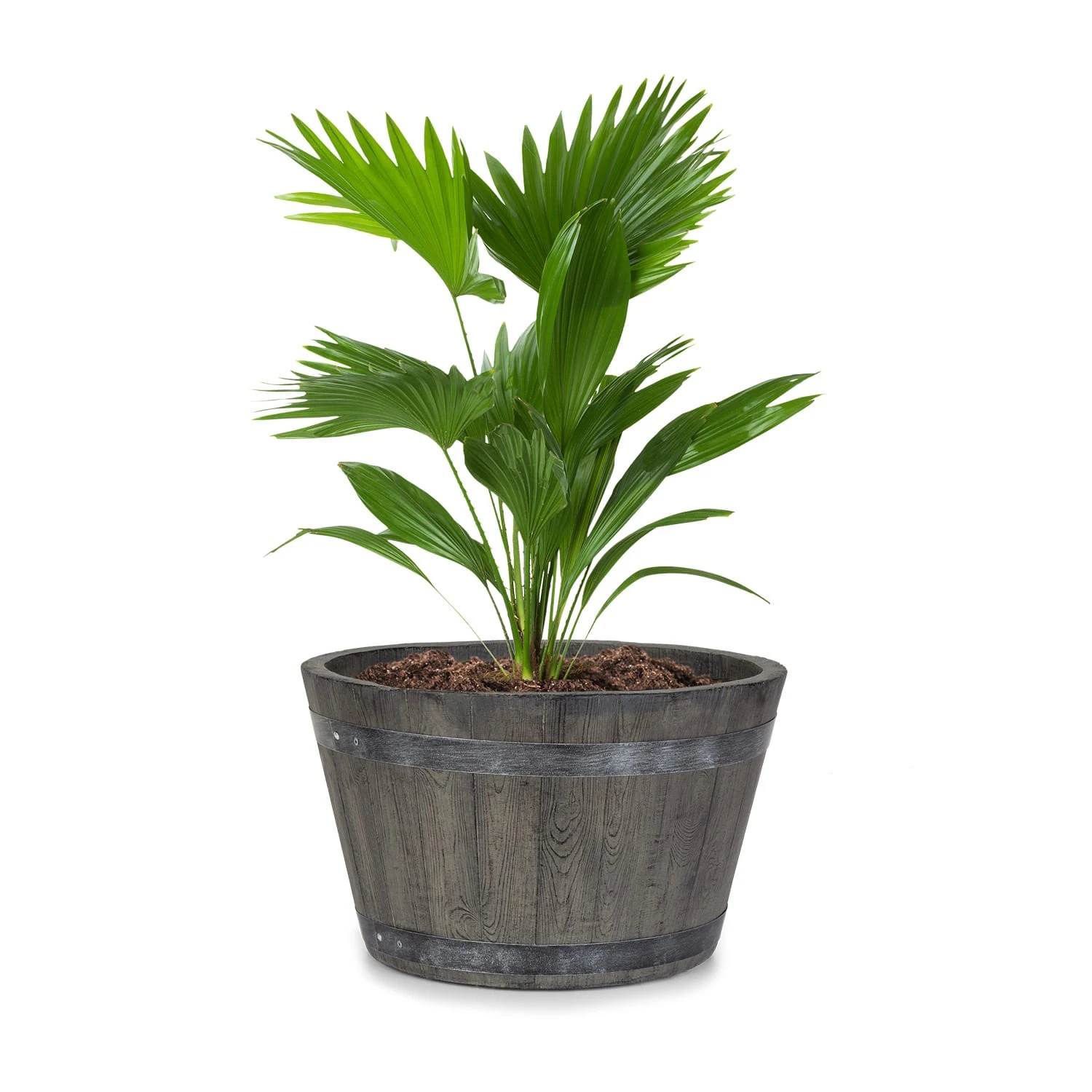 Winegrow Pflanzgefäß 52,5 x 31,5 cm (ØxH) leicht Fibreclay grau Winegrow Pflanzgefäß 52,5 X 31,5 Cm (ØxH) Leicht Fibreclay Grau -Deutschland Klarstein Verkaufs-Shop 10034811 yy 0001 titel blumfeldt Winegrow Pflanzgefaess grau