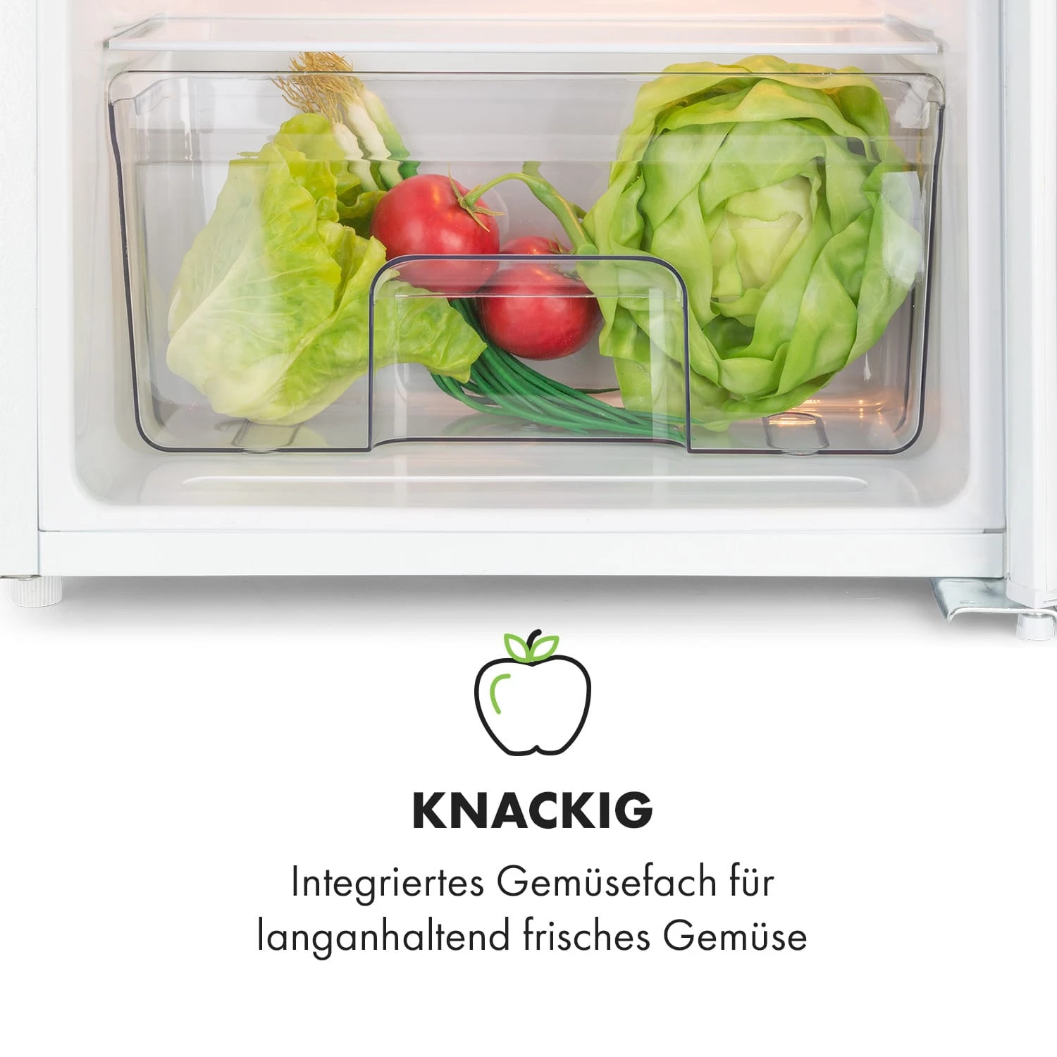 Spitzbergen Uni Kühlschrank 91 Liter 10-Liter-Gefrierfach 2 Böden Spitzbergen Uni Kühlschrank 91 Liter 10-Liter-Gefrierfach 2 Böden -Deutschland Klarstein Verkaufs-Shop 10035192 de 0006 logo