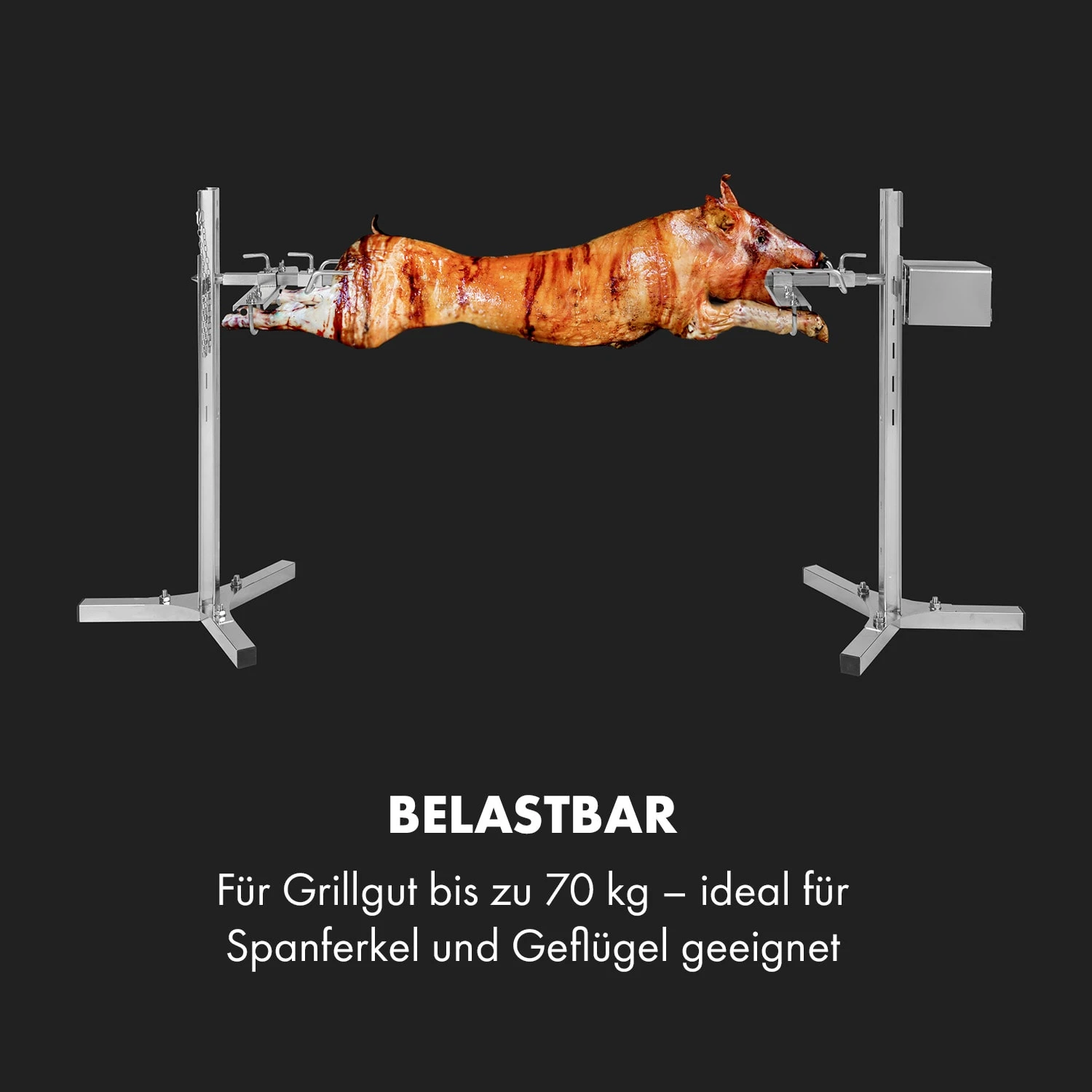 Sauenland Survivor Spanferkelgrill Drehspieß 12W 70kg max. Edelstahl Sauenland Survivor Spanferkelgrill Drehspieß 12W 70kg Max. Edelstahl -Deutschland Klarstein Verkaufs-Shop 10035372 de 0005 logo
