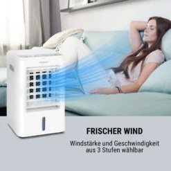 Arctic Cube 4-in-1 Luftkühler 40 Watt 230 M3/h 2 Kühlakkus -Deutschland Klarstein Verkaufs-Shop 10035826 de 0004 logo