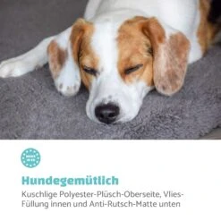 Finn Hundebett Waschbar Rutschfest Atmungsaktiv PE / Vlies Größe L -Deutschland Klarstein Verkaufs-Shop 10037526 de 0003 logo