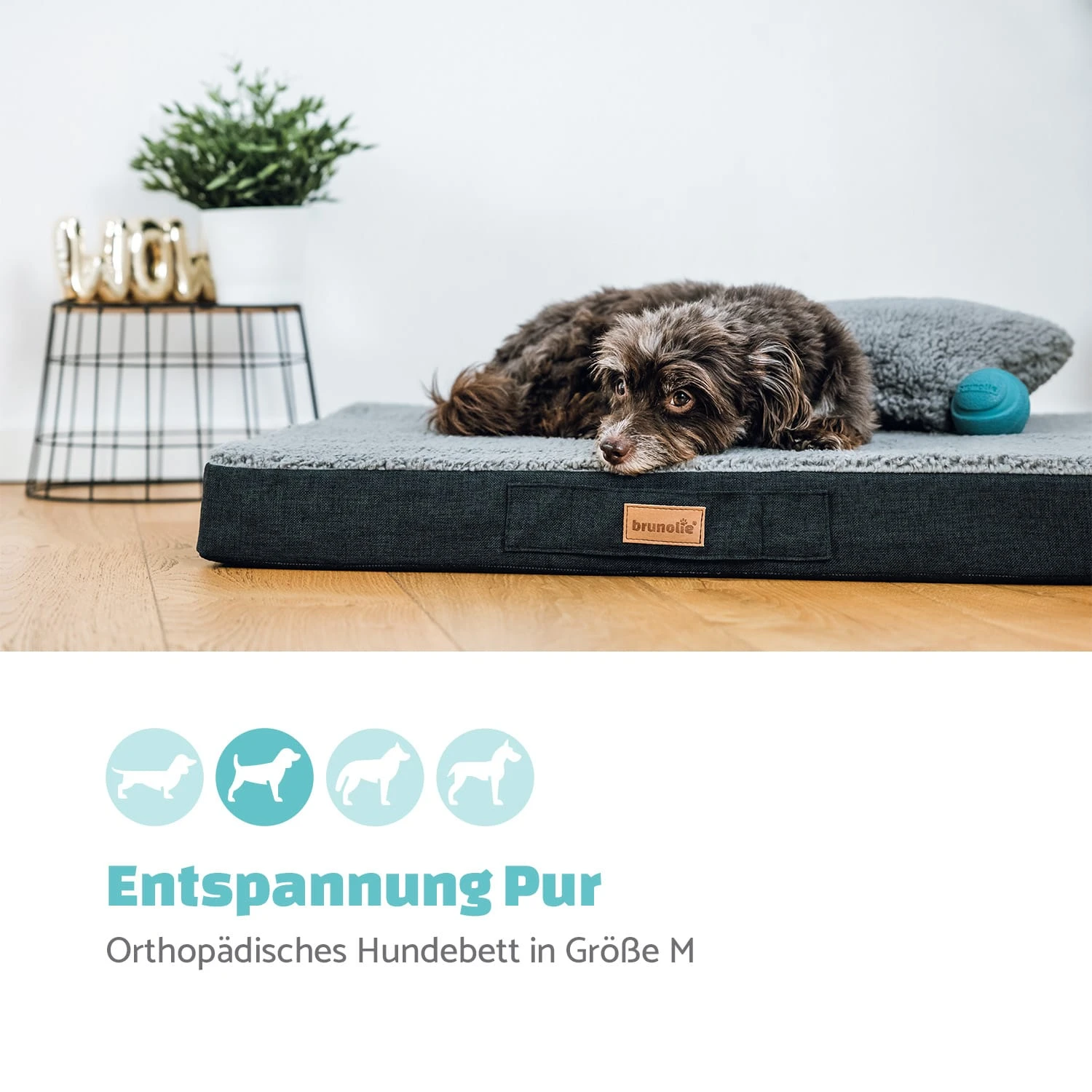 Balu Hundebett waschbar orthopädisch rutschfest Memory-Schaum Größe M Balu Hundebett Waschbar Orthopädisch Rutschfest Memory-Schaum Größe M -Deutschland Klarstein Verkaufs-Shop 10037550 de 0002 logo