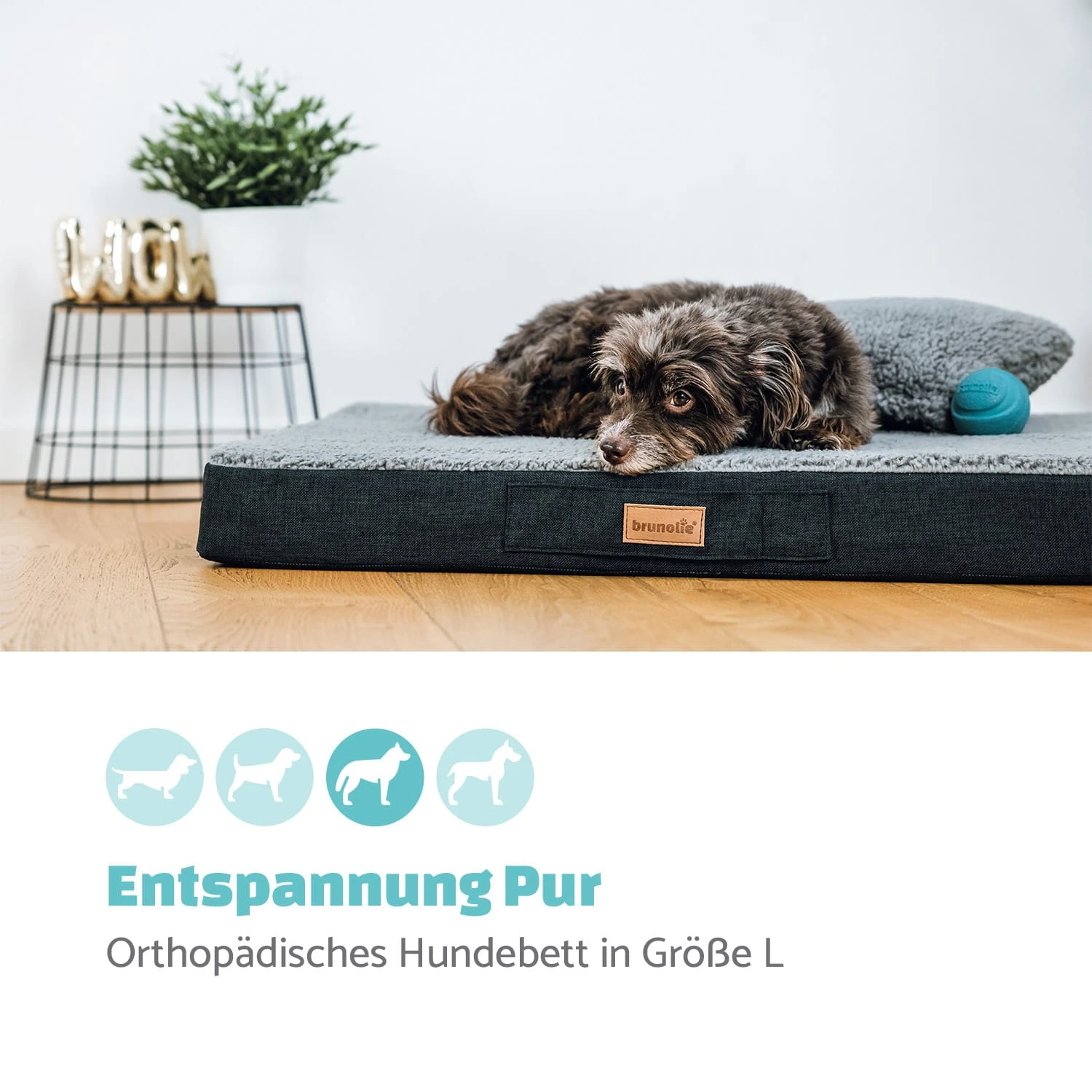 Balu Hundebett waschbar orthopädisch rutschfest Memory-Schaum Größe L Balu Hundebett Waschbar Orthopädisch Rutschfest Memory-Schaum Größe L -Deutschland Klarstein Verkaufs-Shop 10037551 de 0002 logo