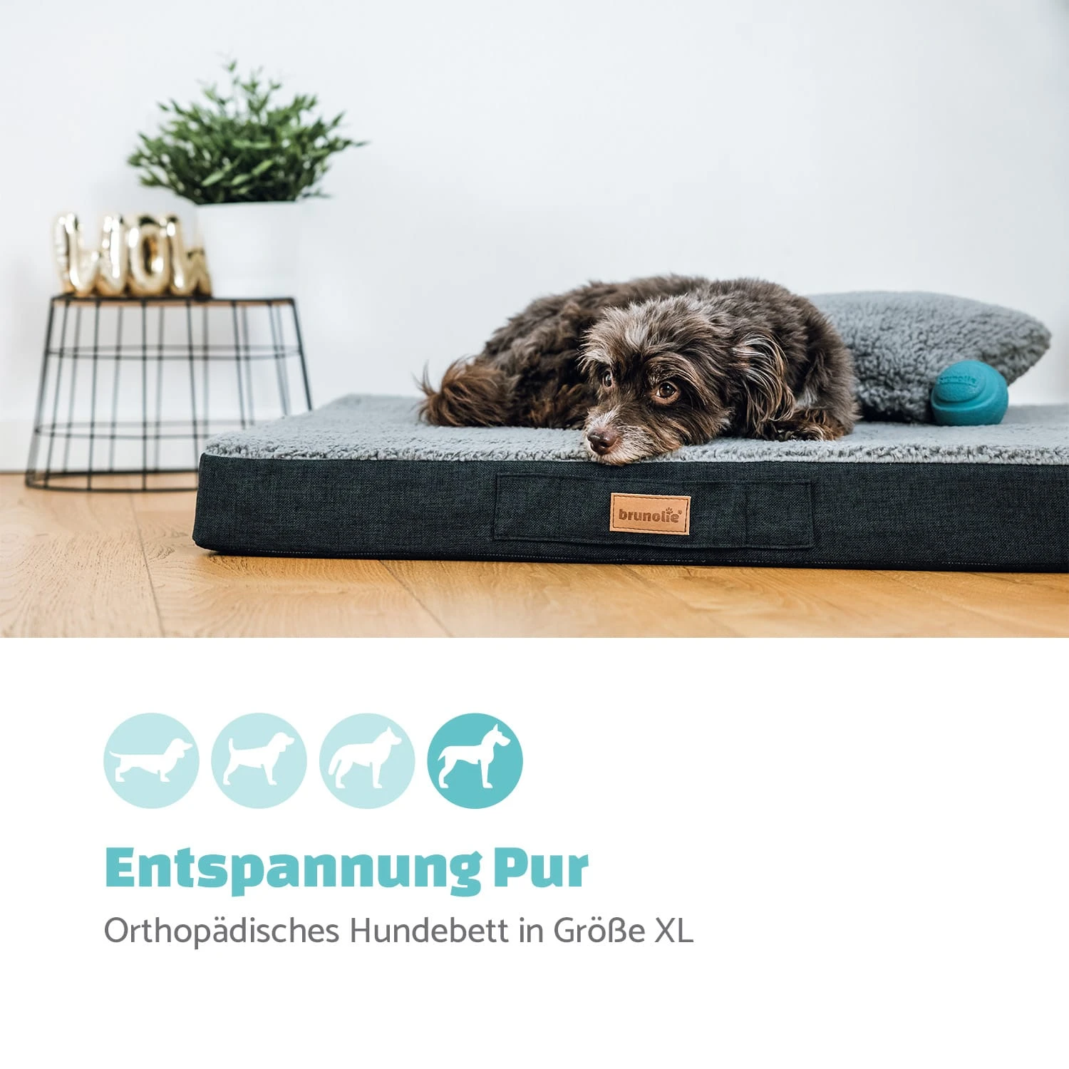 Balu Hundebett waschbar orthopädisch rutschfest Memory-Schaum Größe XL Balu Hundebett Waschbar Orthopädisch Rutschfest Memory-Schaum Größe XL -Deutschland Klarstein Verkaufs-Shop 10037552 de 0002 logo
