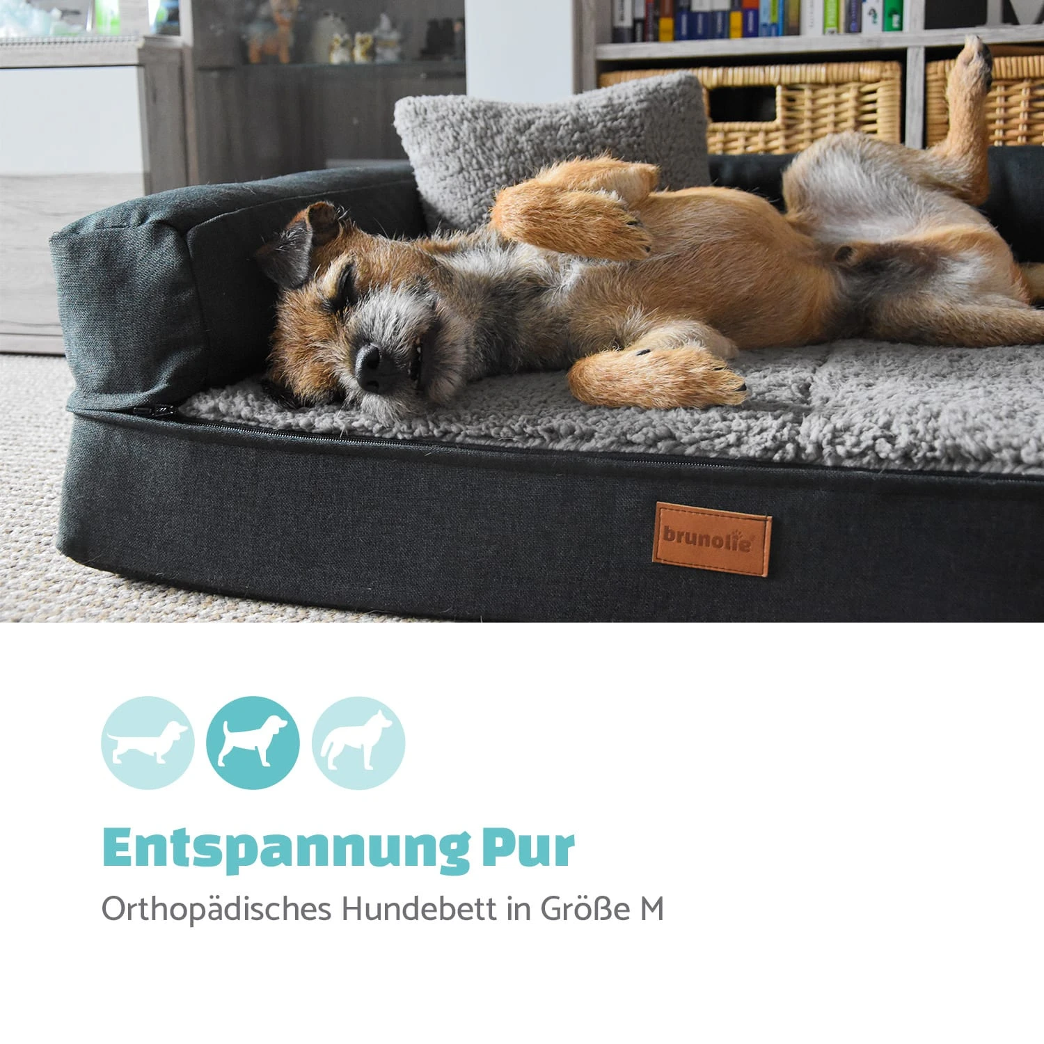 Odin Hundesofa waschbar orthopädisch rutschfest Memory-Schaum Größe M Odin Hundesofa Waschbar Orthopädisch Rutschfest Memory-Schaum Größe M -Deutschland Klarstein Verkaufs-Shop 10037596 de 0002 logo