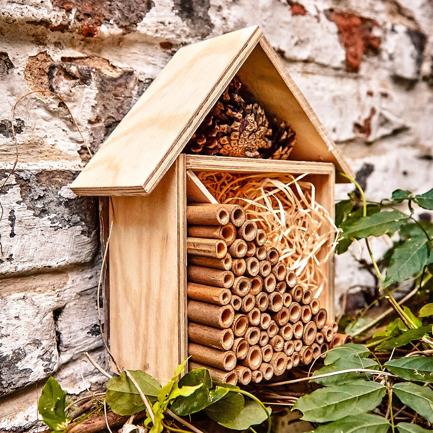 Bambusröhrchen 70 Stück je 15 cm Länge holzfarben Bambusröhrchen 70 Stück Je 15 Cm Länge Holzfarben -Deutschland Klarstein Verkaufs-Shop 10038148 yy 0005 logo