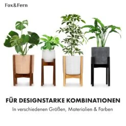 Zeist Pflanzenhalter 2 Höhen Kombinierbar Steck-Design Naturbelassen -Deutschland Klarstein Verkaufs-Shop 10038450 de 0008 usp