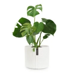 Hasselt Blumentopf Polystone Pflanzenfreundlich Handgemacht 3D-Optik