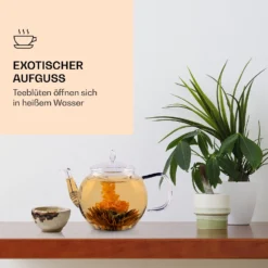 Teeblumen 6 Verschiedene Sorten Einzeln Verpackt Sehr Ergiebig -Deutschland Klarstein Verkaufs-Shop 10040406 de 0003 logo