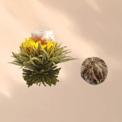 Teeblumen 6 Verschiedene Sorten Einzeln Verpackt Sehr Ergiebig -Deutschland Klarstein Verkaufs-Shop 10040406 yy 0007 logo